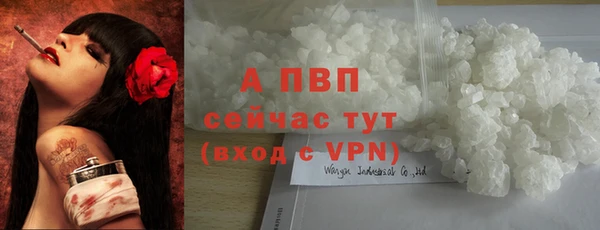 эйфоретик Баксан