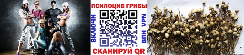 Галлюциногенные грибы мухоморы  сколько стоит  Кодинск 